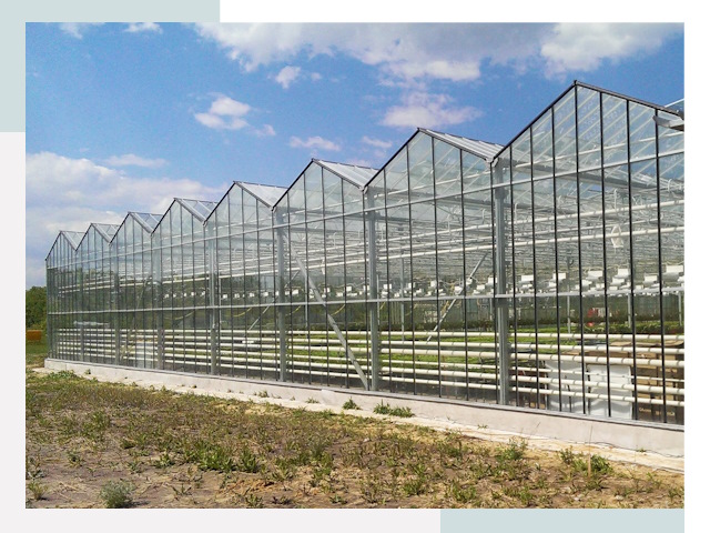 Строительство теплиц в Подольск от 625 руб. за м²